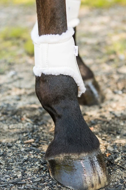 Euro Pro Thor Ankle Boots 6 Euro Pro Thor Ankle Boots - Image 6