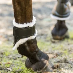 Euro Pro Thor Ankle Boots 10 Euro Pro Thor Ankle Boots -Horse Set Sales Store thor ankle boots black white euro pro 94012.1601671098