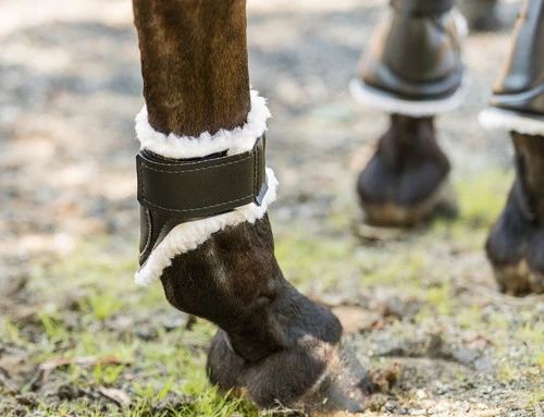 Euro Pro Thor Ankle Boots 5 Euro Pro Thor Ankle Boots - Image 5