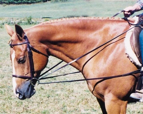 Tory Leather Draw Reins With Loop End 1 Tory Leather Draw Reins With Loop End