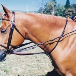 Tory Leather German Martingale -Horse Set Sales Store tory leather german martingale 24 04127 42172.1527304333