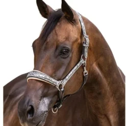Halter Ego Venetian Floral Halter 5 Halter Ego Venetian Floral Halter -Horse Set Sales Store venetian floral halter slvr crm halter ego 46536.1682705257