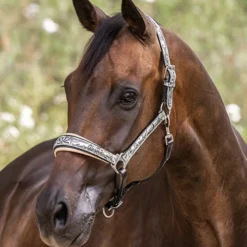 Halter Ego Venetian Floral Halter