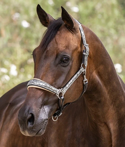 Halter Ego Venetian Floral Halter 1 Halter Ego Venetian Floral Halter