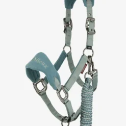 LeMieux Vogue Halter And Lead Rope -Horse Set Sales Store vogue halter lead sage lemieux 70269.1679081822