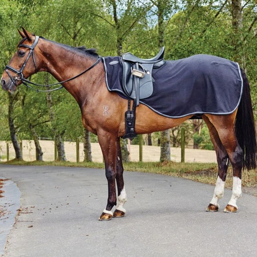 WeatherBeeta Anti-Static Fleece Quarter Sheet 1 WeatherBeeta Anti-Static Fleece Quarter Sheet