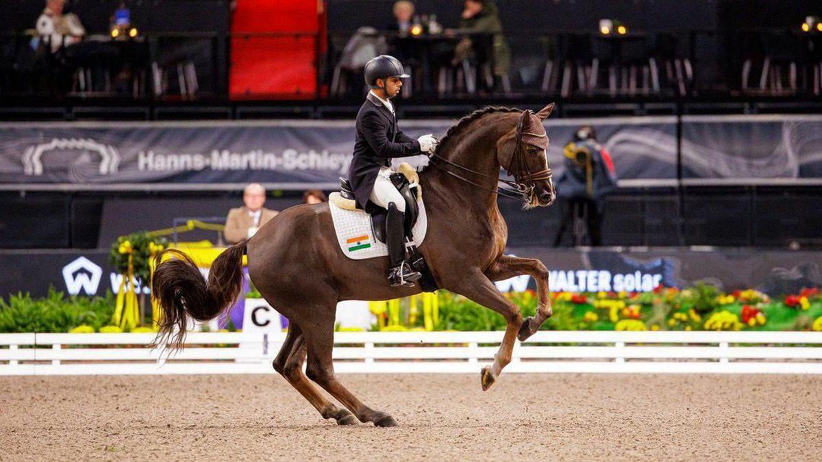 Horse Set Sales Store -Horse Set Sales Store PTI06 25 2024 000273B