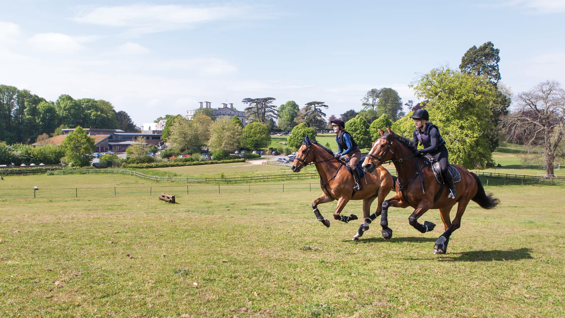 Horse Set Sales Store -Horse Set Sales Store hires 2977 edit